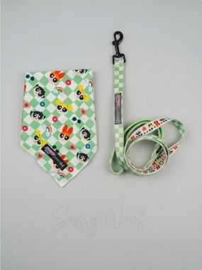 ✳️ {NWOT} Sassy Woof x PowerPuff Girls Dog Leash & Bandana Set